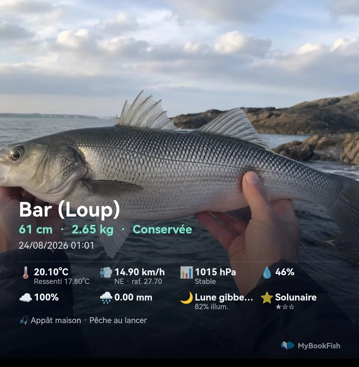 Fiche de prise générée par MyBookFish, partagée par message, montrant un bar de 61 cm avec météo et phase de lune